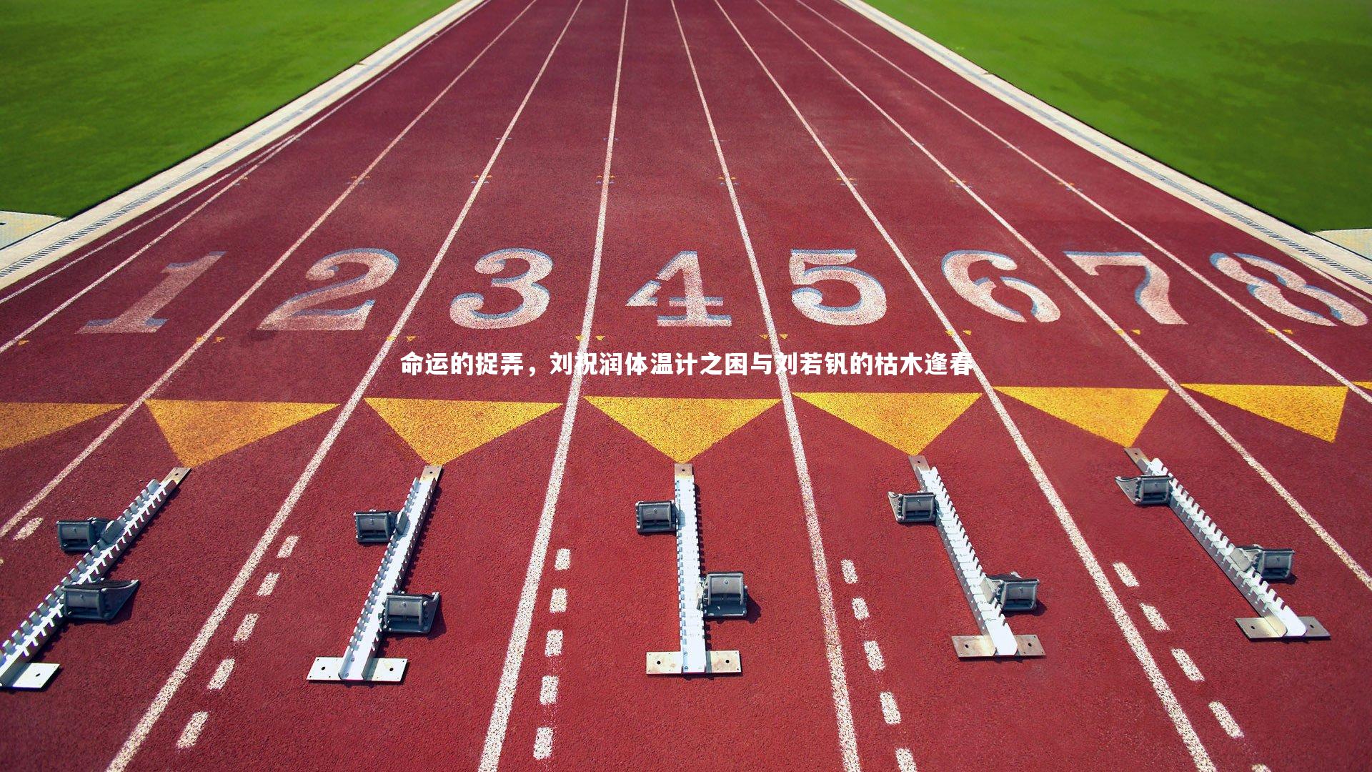 命运的捉弄,刘祝润体温计之困与刘若钒的枯木逢春