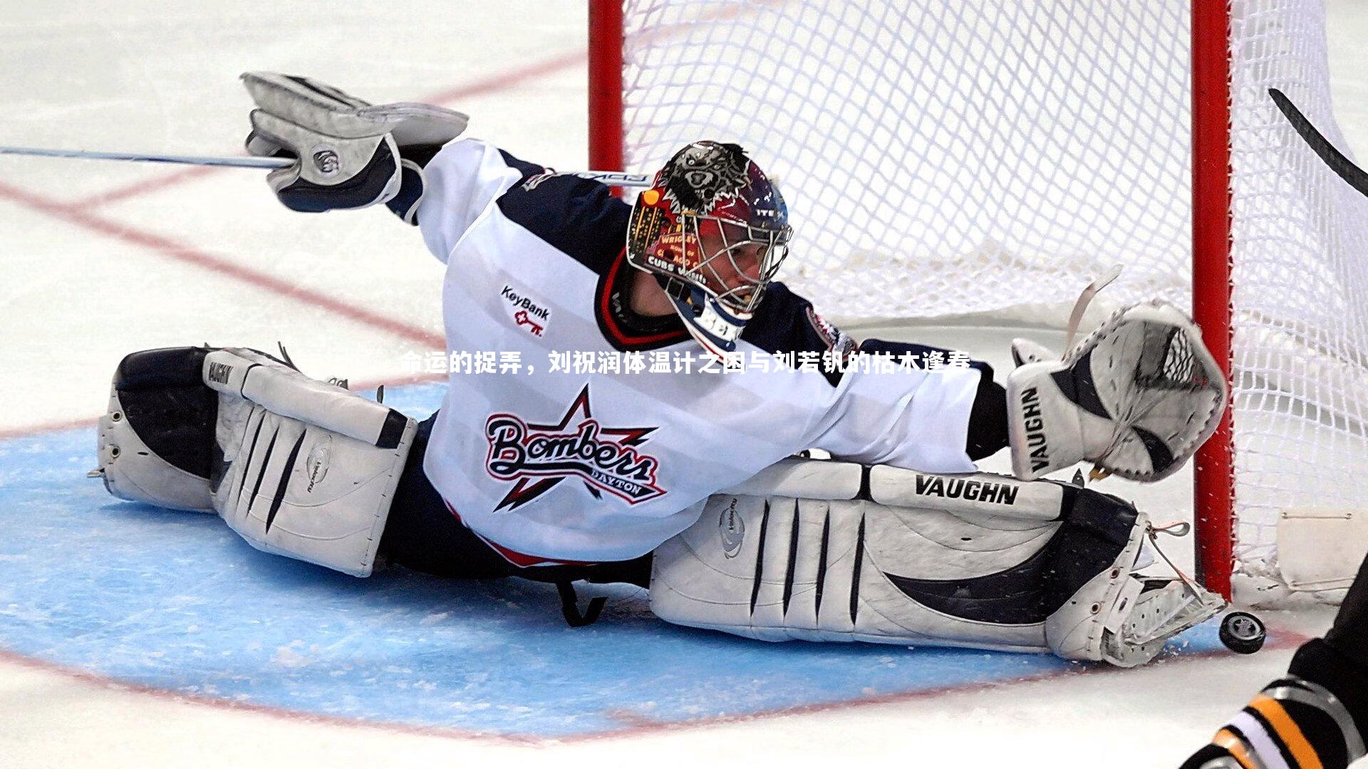 命运的捉弄,刘祝润体温计之困与刘若钒的枯木逢春